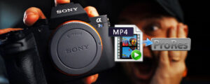 Sony Alpha a7S III FCP X - Edit Sony a7S III 4K MP4 in FCP X