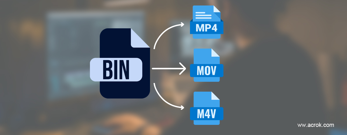 Convert BIN files to MP4 on Windows/Mac